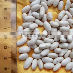 Bai Sha ke Chinese Dry White Kidney Beans thumbnail-4