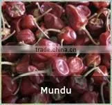 Mundu Red Chilles From India thumbnail-1