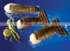 Vietnam Frozen Lobster Tails thumbnail-1
