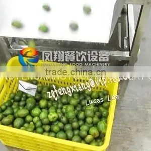 HP-360 Top And Bottom Spray Vegetable Fruit Cleaning Washer and Dryer Machine thumbnail-6