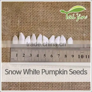 First Grade Health Snow White Pumpkin Seed thumbnail-3