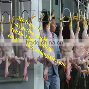 Automatic Whole Poultry Sorting Machine/ Chicken Grading Machine / Chicken Grader thumbnail-6
