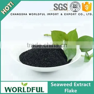 Best Price High Soluble Seaweed Extract Flake,seaweed Extract Agriculture Fertilizer Price thumbnail-1