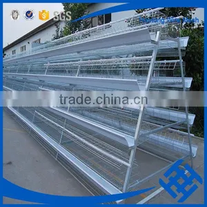 Wholesale Market 120 Bird and 160 Birds Chicken Cage thumbnail-2
