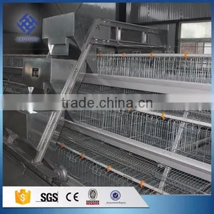 30 Years' Factory Supply Automatic Chicken Cage thumbnail-6