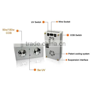 uv ir Full Spectrum Bridelux Chip Led Light 5w Chip 300w Led Grow Light thumbnail-4