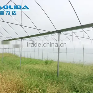 Large Plastic Film Multi-span Greenhouse for Plant Growing or Commercial Use thumbnail-1