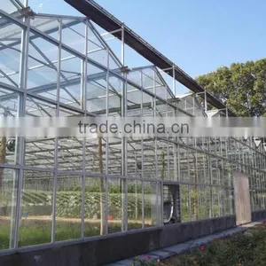 Plastic Translucent pc Sheet Vegetable Tunnel Greenhouse thumbnail-1