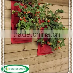 Strawberry Vertical Garden 3-Pockets Grow Bags thumbnail-1