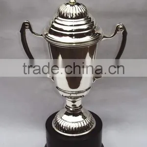 Silver Trophy,trophies,metal Trophy,awards,sports Awards,trophe,trophys,replica Trophy,trophies Cups, thumbnail-1