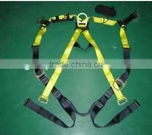 Lanyard With Safety Harness thumbnail-1