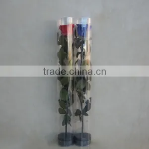 Hot Sale Austin Preserved Rose Flower For Gift Home Decoration From China thumbnail-5