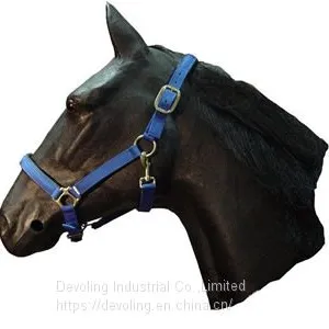 Horse Halter thumbnail-3