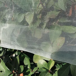 Fabrik liefert hochwertiges, preiswertes transparentes weißes Insektenschutznetz für Gewächshäuser und Landwirtschaft thumbnail-3