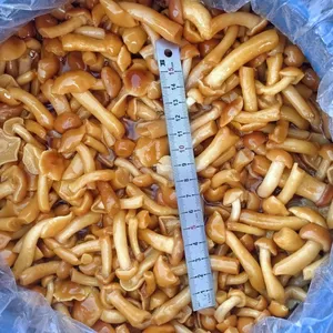 Nameko in Brine FAQ, Birned Mushrooms, Edible Fungi,cleaning thumbnail-1
