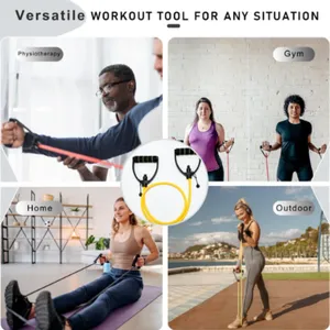 Resistance Band With Handles and Door Anchor, Adjustable Exercise Tube Band for Physical Therapy, Strength Training, Pilates and Home Workouts thumbnail-5