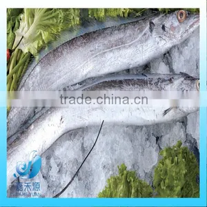 Large Whole Round Ribbon Fish thumbnail-1
