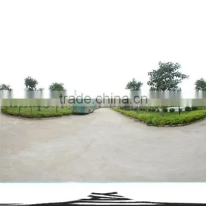 Guangdong Yada Electronics Co., Ltd. company overview - view 2 thumbnail
