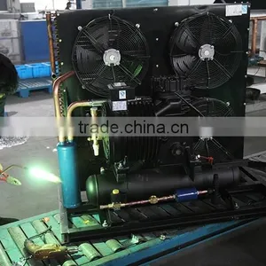 R404a Compressor Copeland Semi Hermetic Condensing Units for Cold Room Fruit Storage thumbnail-5