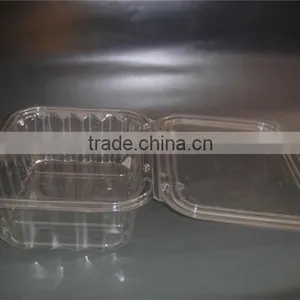 Best Selling Plastic Clear Food Grade Container thumbnail-3