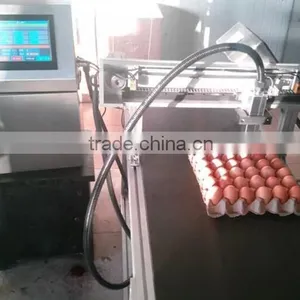 Egg Ink Jet Expiry Date Printer thumbnail-1