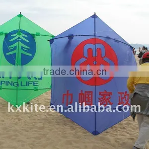 Rokkaku Kite thumbnail-1
