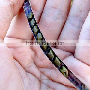 Cassia Tea/Cassia Tora Seed/Semen Cassiae Seeds/Cassia Tora Seeds From India - CTS thumbnail-5