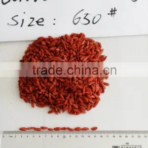Dried Goji Berry 650grains/50g thumbnail-1