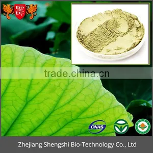 Manufacturer Sales Dried Lotus Leaf Extract Powder thumbnail-1