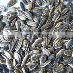 BLACK SUNFLOWER SEEDS thumbnail-1