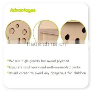 Eco-Friendly Wooden Insect Box Building Kit For Sale thumbnail-3