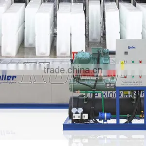 Commercial Block Ice Maker For Sales thumbnail-4