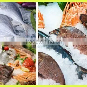 3 Tons per Day Highest Efficiency Plate Ice Making Machine for Sale thumbnail-4
