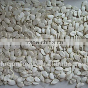 Snow White Pumpkin Seed thumbnail-1
