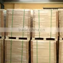 Weifang Yongxin Paper Industry Co., Ltd. company overview - view 2 thumbnail
