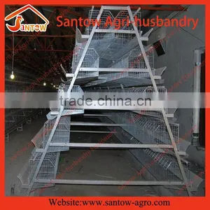 Automatic Chicken Egg Layer Cages Poultry Cage Chicken Layer Farm for Sale thumbnail-6