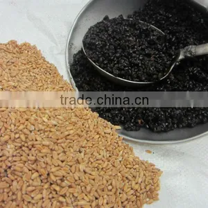 Wheat Roasting Services thumbnail-1