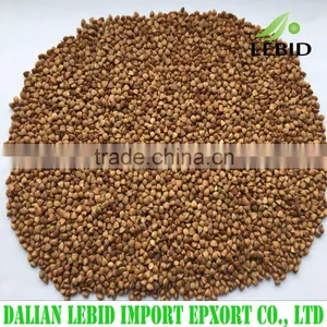 New Crop Roasted Buckwheat Price thumbnail-1