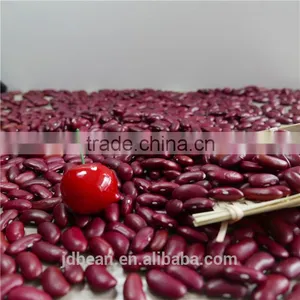 Dark Red Kidney Bean thumbnail-3