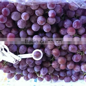 2014 New Crop Red Globe Grapes thumbnail-4