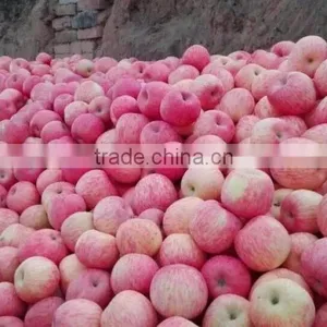 Red Fuji Apple thumbnail-1