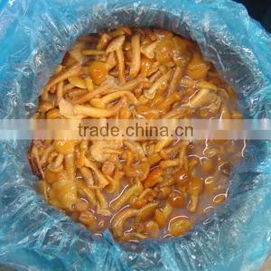 Nameko Mushroom in Brine thumbnail-2