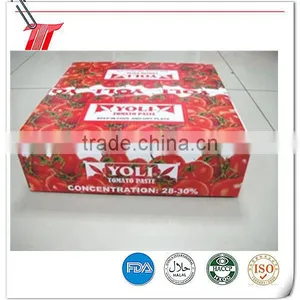 Double Concentrated Sachet Tomato Paste OF YOLI Brand With Low Price thumbnail-4