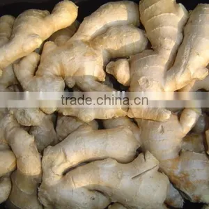 2016 Fresh Ginger thumbnail-4