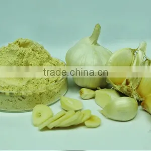 Garlic Powder thumbnail-1