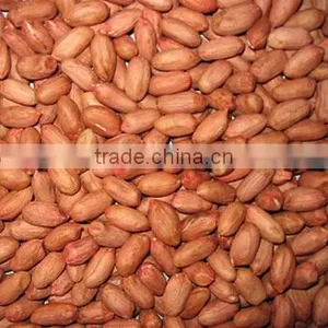 Raw Peanuts Kernels thumbnail-1
