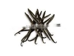 Vanilla Beans thumbnail-1