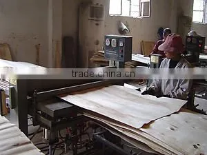 CORE VENEER DRYER IN VIETNAM WITH GREAT PRICE thumbnail-1