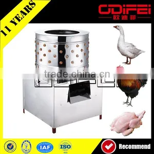Poultry Processing Profession Automatic Poultry Equipment Price thumbnail-3