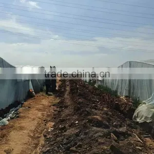 Greenhouse Irrigation Project for Grape thumbnail-5